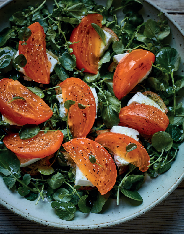 Persimmon, goats cheese and landcress salad from Sabor