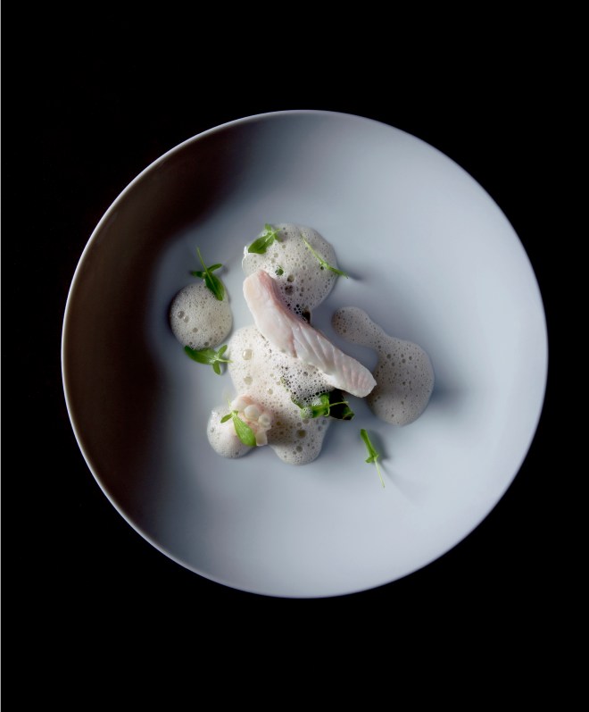 Turbot Celeriac Sorrel - Copyright Eduardo Torres