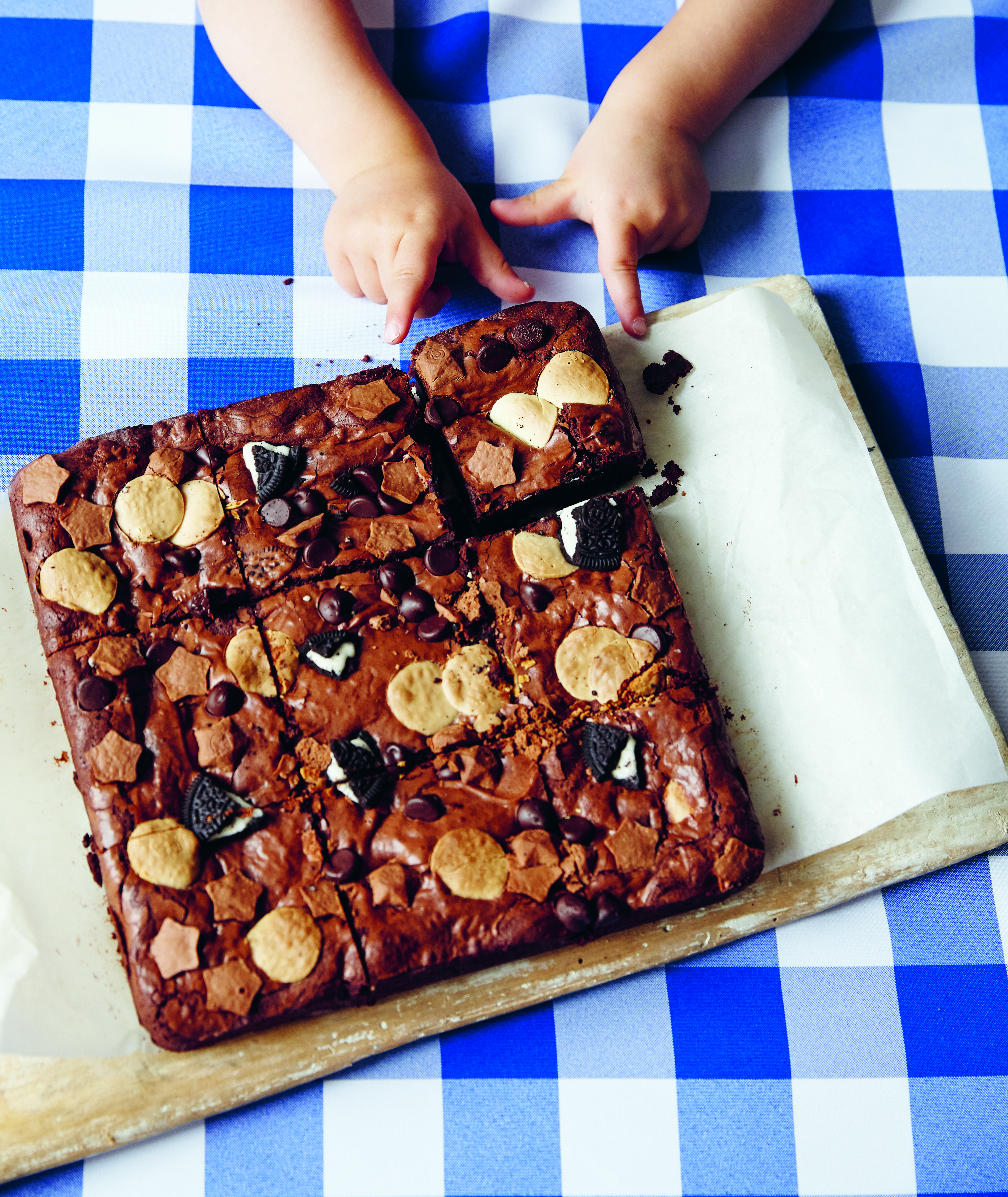 271_Brownie_1 cropped