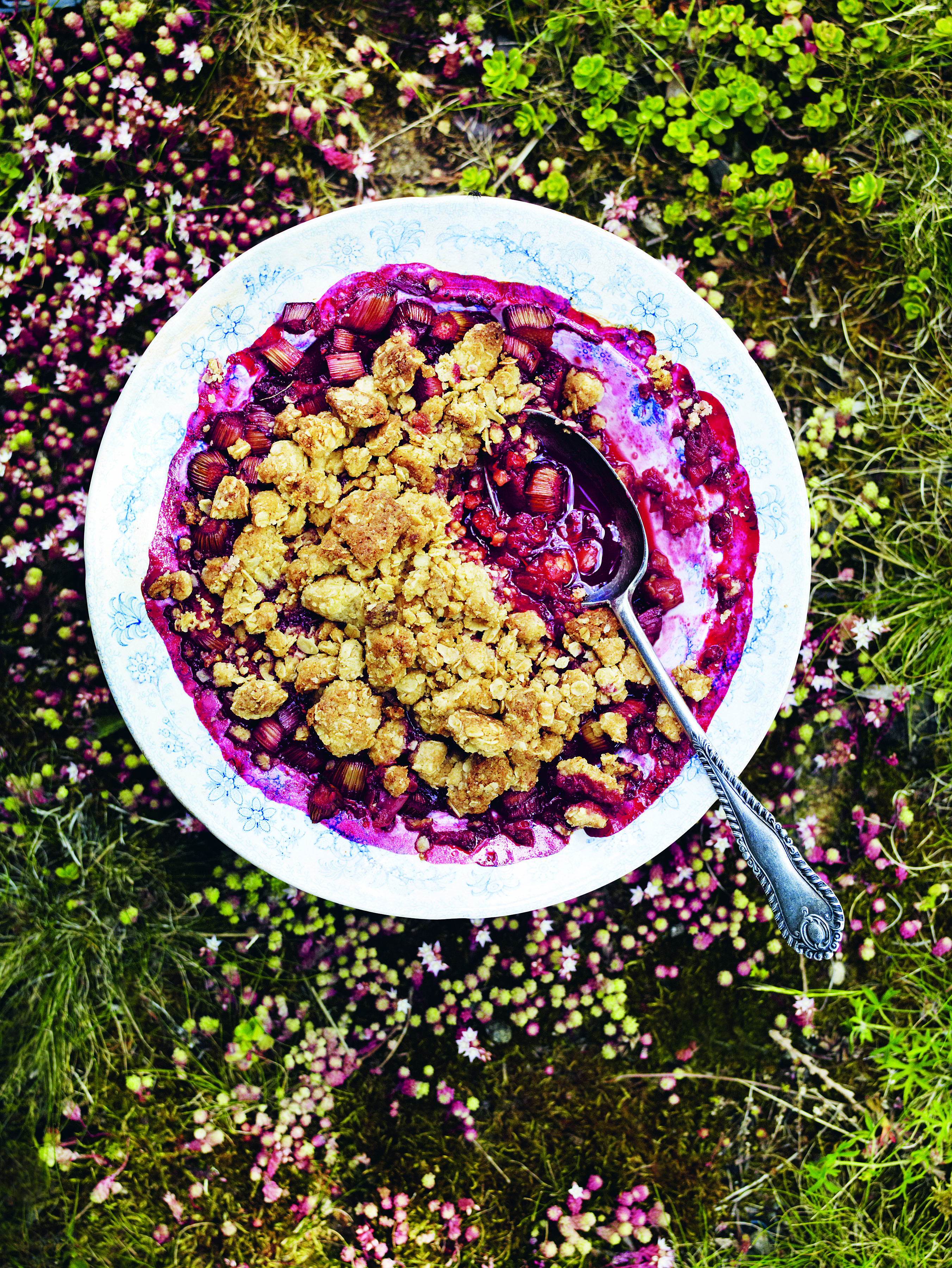 Raspberry and rhubarb crumble Gill Meller