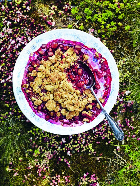 Raspberry and rhubarb crumble Gill Meller